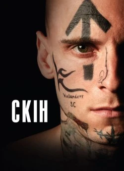 Скін