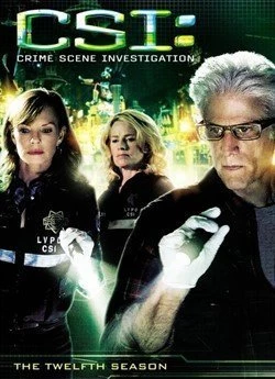 CSI: Місце Злочину Лас-Вегас (Сезон 12)