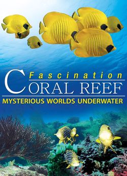 Кораловий риф: Дивовижні підводні світи